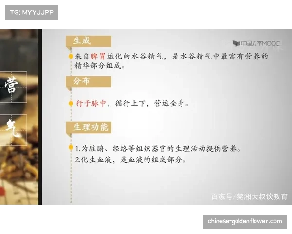 营养学与运动生理学发展 助力球员应对密集赛程